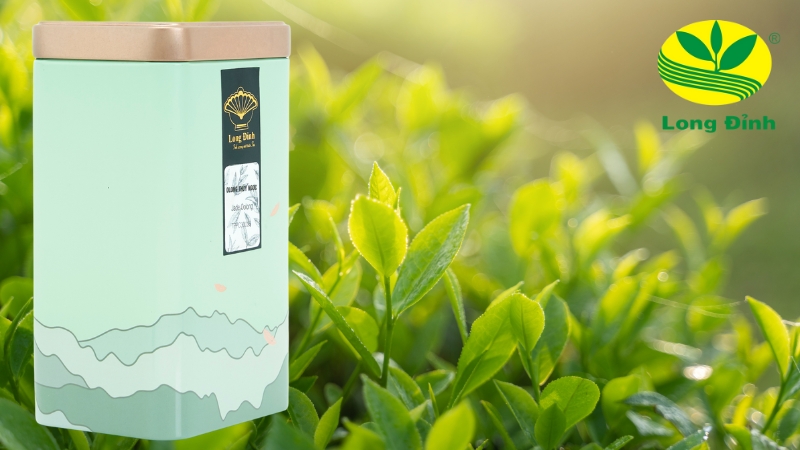 trà ô long thúy ngọc