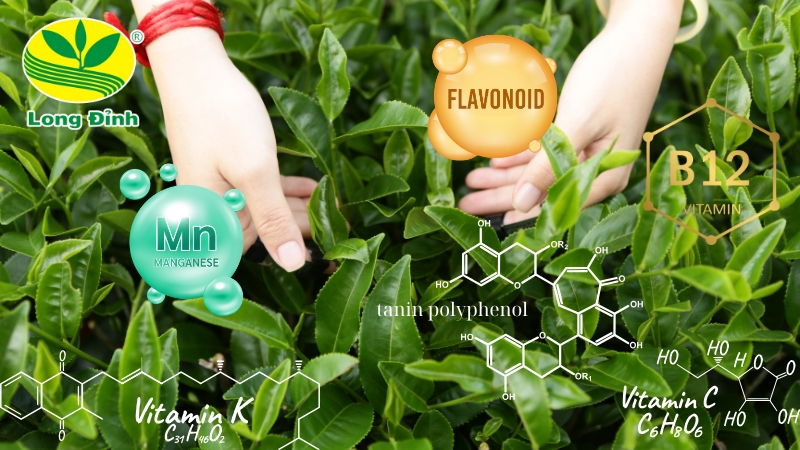 Lợi ích của trà ô long