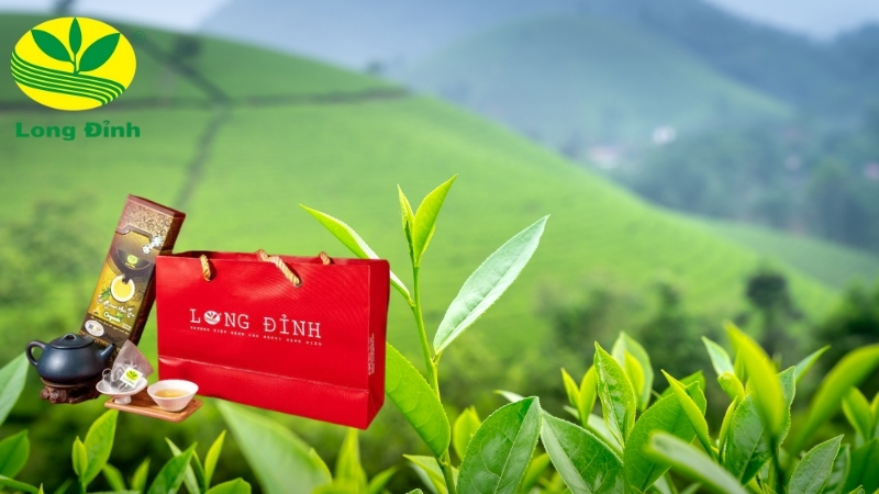 trà ô long thiết quan âm