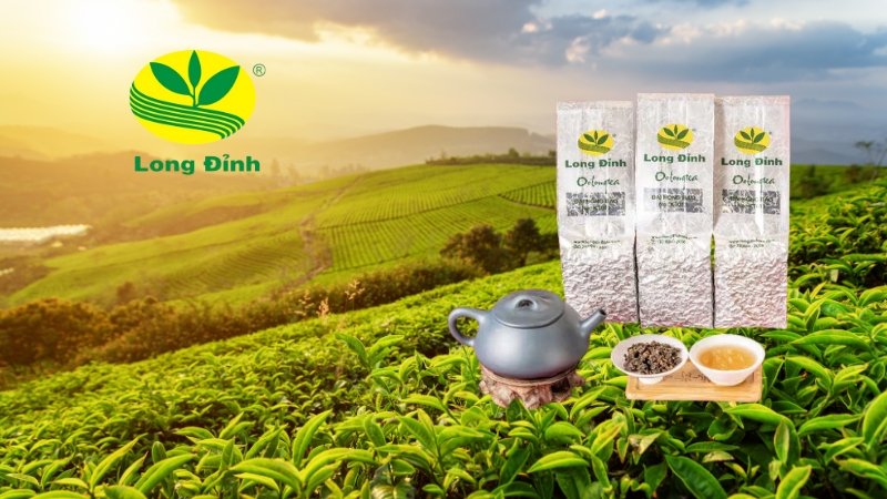 trà ô long đại hồng bào