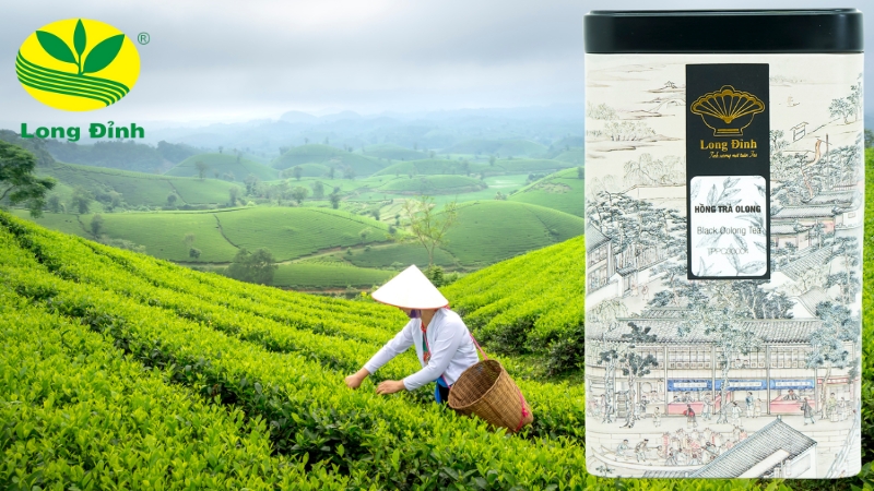 trà ô long thuần