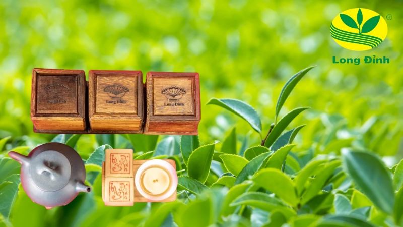 trà ô long phổ nhĩ